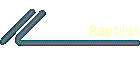 Reptiles